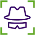 sectionIcon